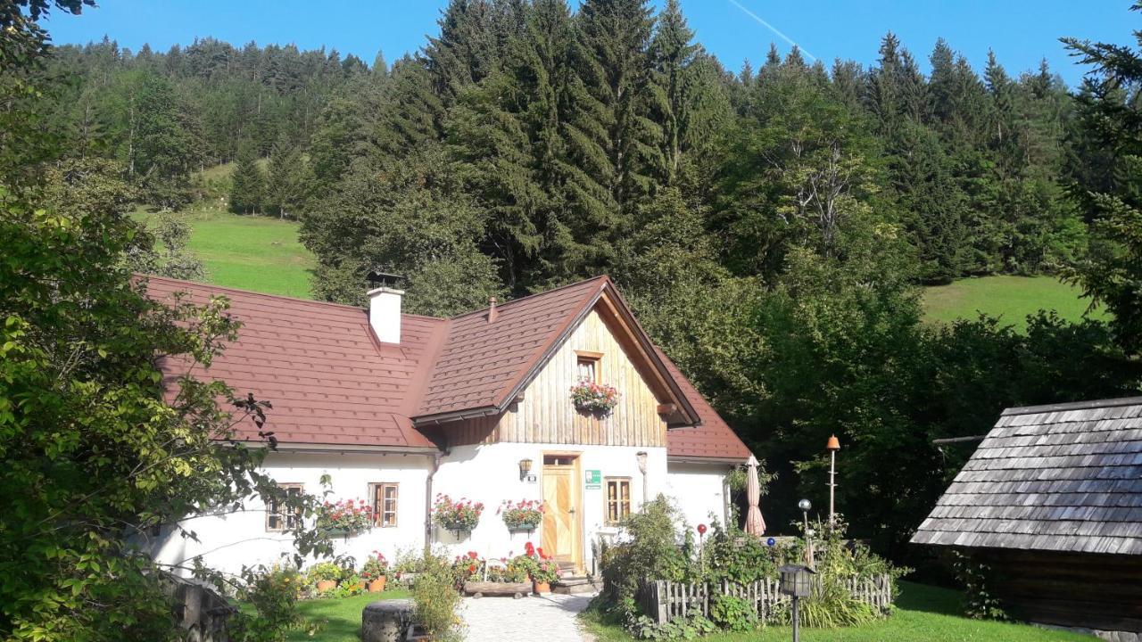 Ferienhaus Lenzau Strohmarkt Kültér fotó