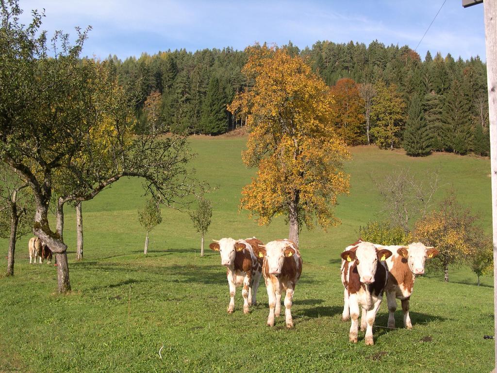 Ferienhaus Lenzau Strohmarkt Kültér fotó